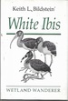 White Ibis (Smithsonian Nature Books)