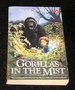 Gorillas in the Mist