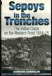 Sepoys in the Trenches: the Indian Corps on the Western Front 1914-1915