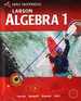 Larson Algebra 1 (Holt McDougal Larson Algebra 1)