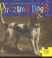 The Metropolitan Museum of Art: Puzzling Dogs