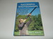 Successful Shotgunning: How to Build Skill in the Field and Take More Birds in Competition