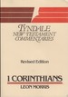 The First Epistle of Paul to the Corinthians: an Introduction and Commentary (Tyndale New Testament Commentaries)