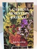 A Catskill Mountain Journal