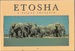 Etosha: a Visual Souvenir