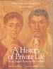 A History of Private Life