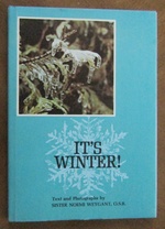 It's Winter