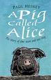 A Pig Called Alice: the Story of One Man and His Hog