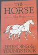 Horse-Breeding & Youngstock