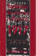 The Workers' Revolution in Russia, 1917: the View From Below