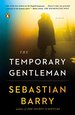 The Temporary Gentleman: a Novel