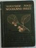 Wayside and Woodland Trees: a Pocket Guide to the British Sylva