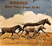 Horses; How They Came to Be