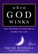When God Winks: How the Power of Coincidence Guides Your Life (1) (the Godwink Series)