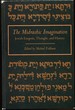 The Midrashic Imagination. Jewish Exegesis, Thought, and History
