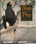 Birds of Prey