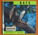 Bats (Animals)