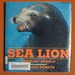 Sea Lion