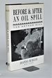 Before and After an Oil Spill: the Arthur Kill