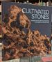 Cultivated Stones: Chinese Scholars' Rocks From the Kemin Hu Collection at the U.S. National Arboretum