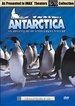 Antarctica: An Adventure of a Different Nature [Remastered]