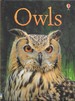 Owls (Usborne Beginners Series)