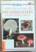 Sasol First Field Guide to Mushrooms of Southern Africa