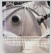 The Complete Architecture of Balkrishna Doshi: Rethinking Modernism for the Developing World