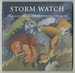 Storm Watch: the Art of Barbara Earl Thomas