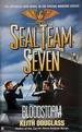 Bloodstorm (Seal Team Seven #13)