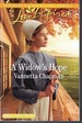 Widow's Hope Book 1 Indiana Amish Brides
