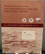 Mineral Resources of the Bull Gulch Wilderness Study Area, Eagle County, Colorado