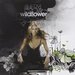 Wildflower [Bonus Track]