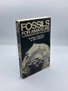 Fossils for Amateurs
