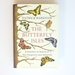 Butterfly Isles: a Summer in Search of Our Emperors and Admirals