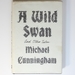 A Wild Swan: and Other Tales