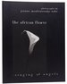 The African Flower: Singing of Angels