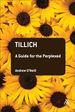 Tillich: a Guide for the Perplexed (Guides for the Perplexed)