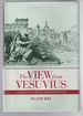 The View From Vesuvius: Italian Culture and the Southern Question