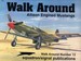 Allison Engineered Mustangs Walk Around