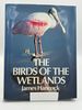 The Birds of the Wetlands