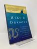 Here Be Dragons: a Parent's Guide to Rediscovering Purpose, Adventure, and the Unfathomable Joy of the Journey