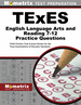 Texes English Language Arts and Reading 7-12 Practice Questions