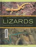 Lizards Windows the the Evolution of Diversity