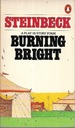 Burning Bright: a Play in Story Form