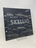 David Ireland: Skellig