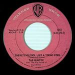 There's No Fool Like a Young Fool / I'Ll Never Smile Again [7" 45 Rpm Single]