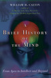 A Brief History of the Mind: From Apes to Intellect and Beyond