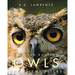 Owls: the Silent Fliers