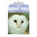 The Barn Owl